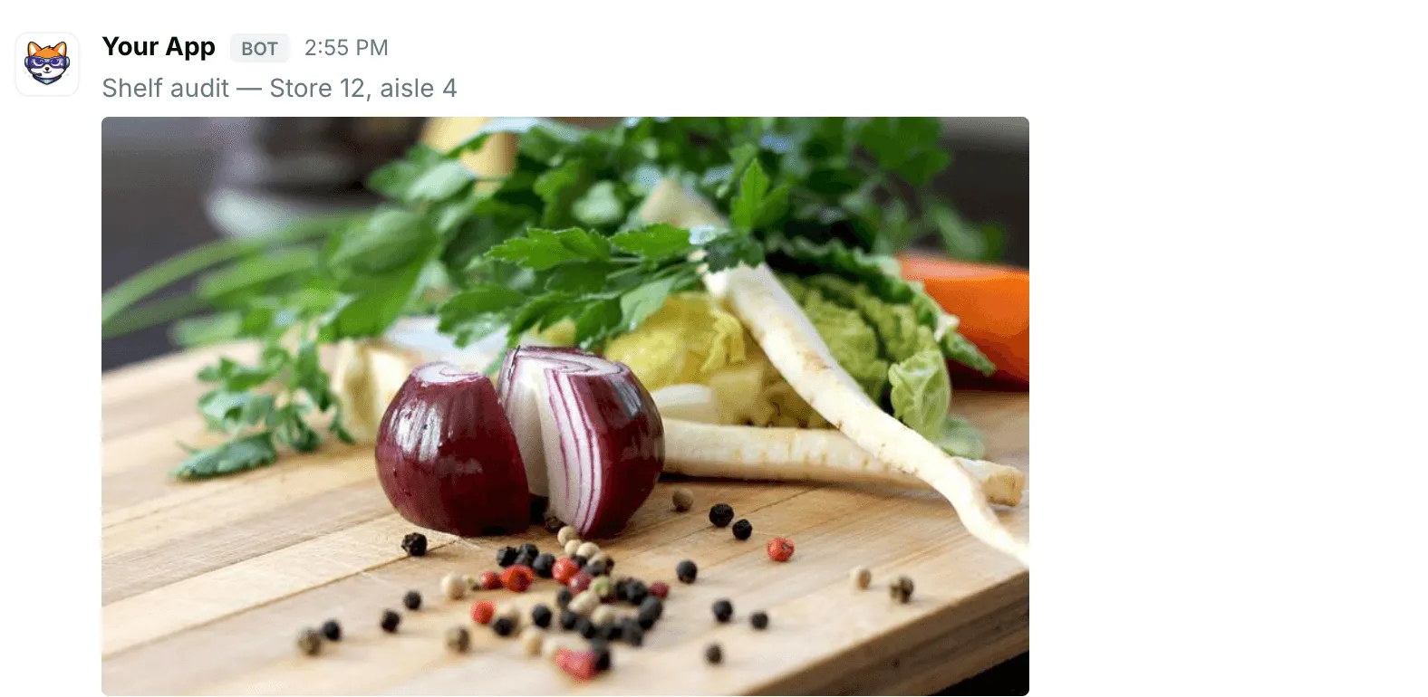 An image with a title — how it renders in Repzo Chat